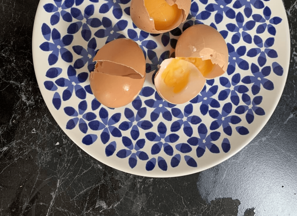 Au Revior Eggs, hello day&nbsp;3