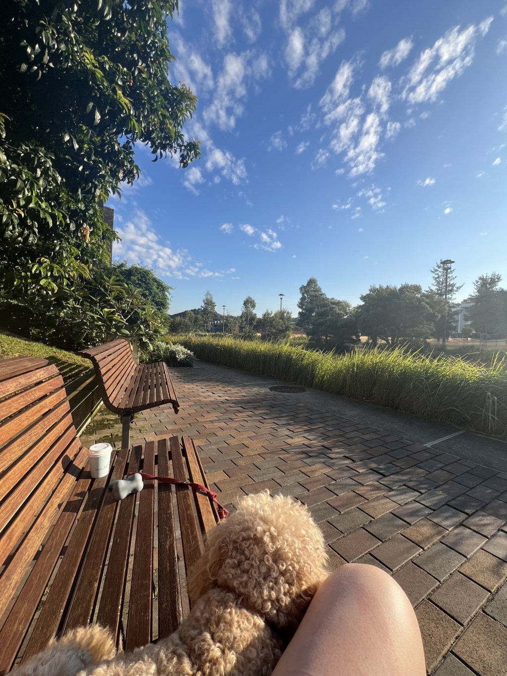 Waking up to&nbsp;Change