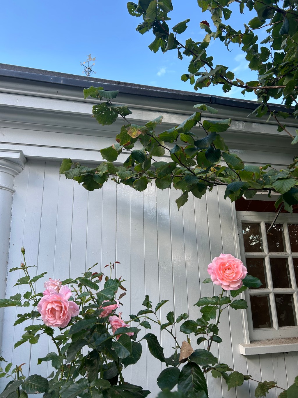 Meeting You… Was Like Opening a&nbsp;Window